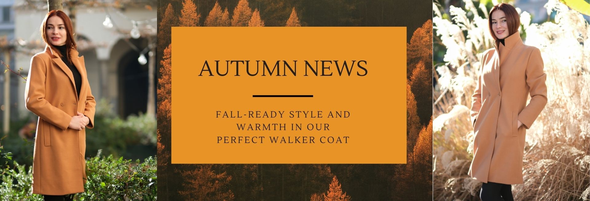 Autumn News Highlights